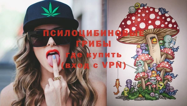 сатива Белоозёрский