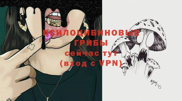 марки nbome Белокуриха