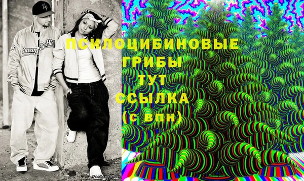 сатива Белоозёрский