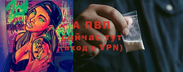 марки nbome Белокуриха